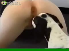 An athletic virgin attracts her lewd puppy while standing on her knees.